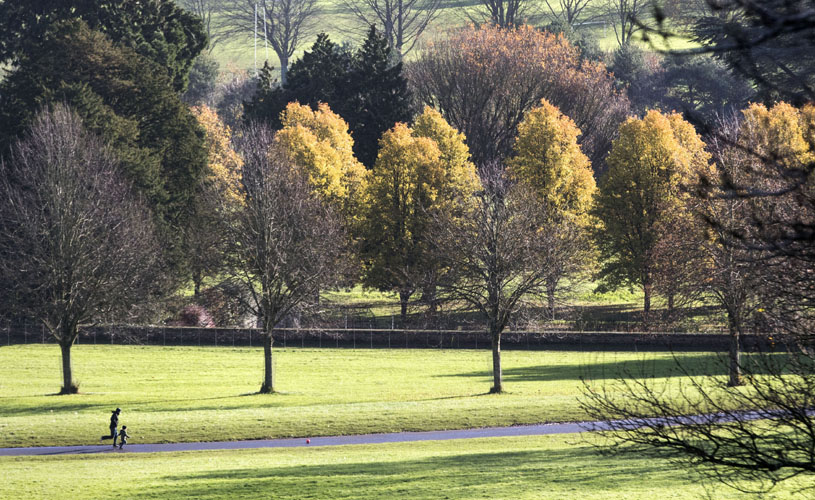 Ashton Court Estate - Bristol’s best parks for autumn leaf-peeping